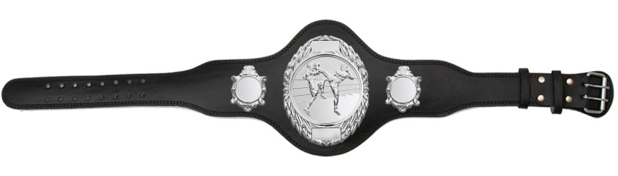 THAI BOXING TITLE BELT - PLT286/S/TBOS-4 COLOURS THAI BOXING TITLE BELT - PLT286/S/TBOS-4 COLOURS